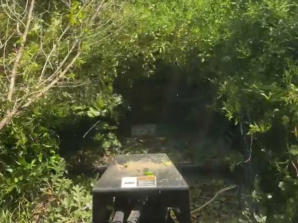 Forestry mulching head on a compact track loader pushing into a wall of brush and saplings, seen from the cab
