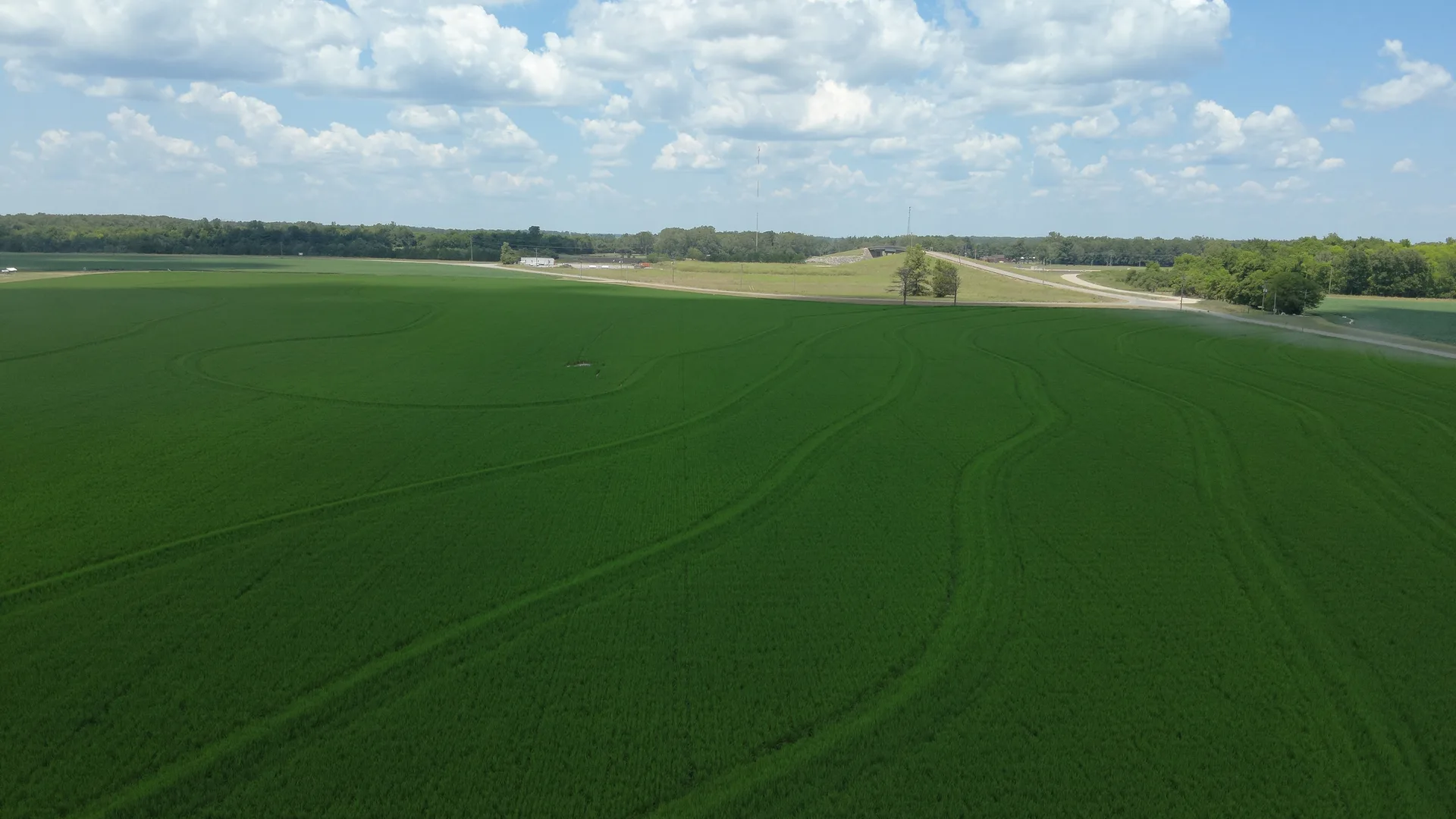 Drone Mapping, Aerial Imagery & Wildlife Herd Assessments in Rayville, LA