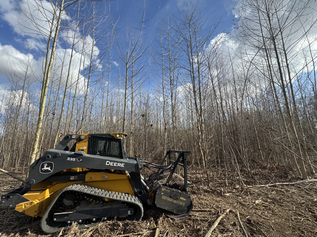Forestry mulcher clearing overgrown land in Northeast Louisiana