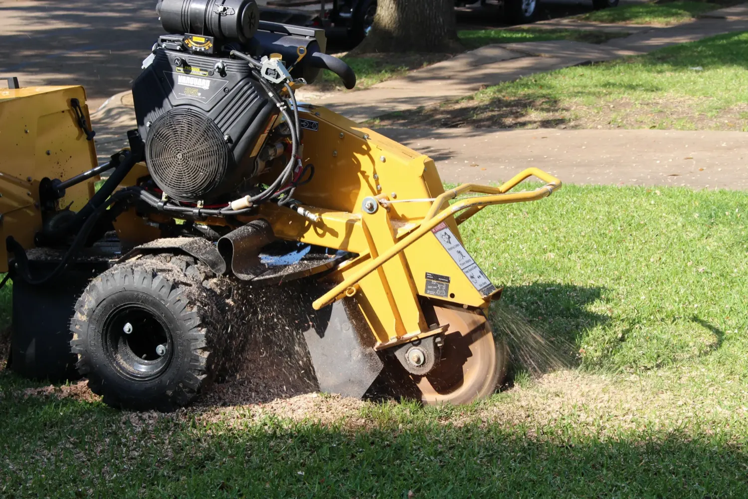 Stump grinder removing a tree stump on a Northeast Louisiana property