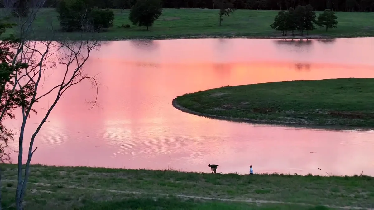 Sunset drone flyover of a pond and the timber around it