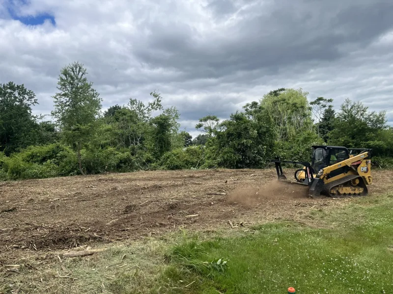 Forestry Mulching in Rayville, LA