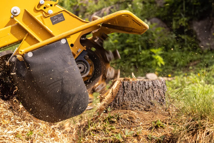 Stump Grinding in Rayville, LA